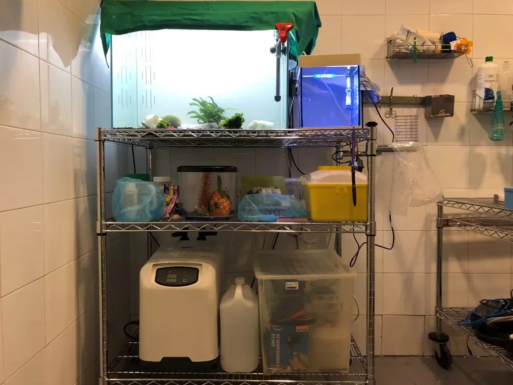 Hospital veterinario exoticos en Madrid